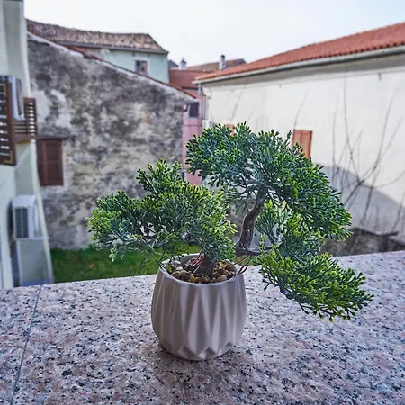 Apartment Rnr Buzet
